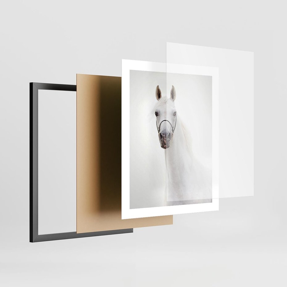 Plakat w ramie 40x50 - Elegancja białego konia - biały, koń - rama czarna