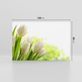 Obraz na płótnie 120x80 - delikatność kwiatów - tulipany, kwiat