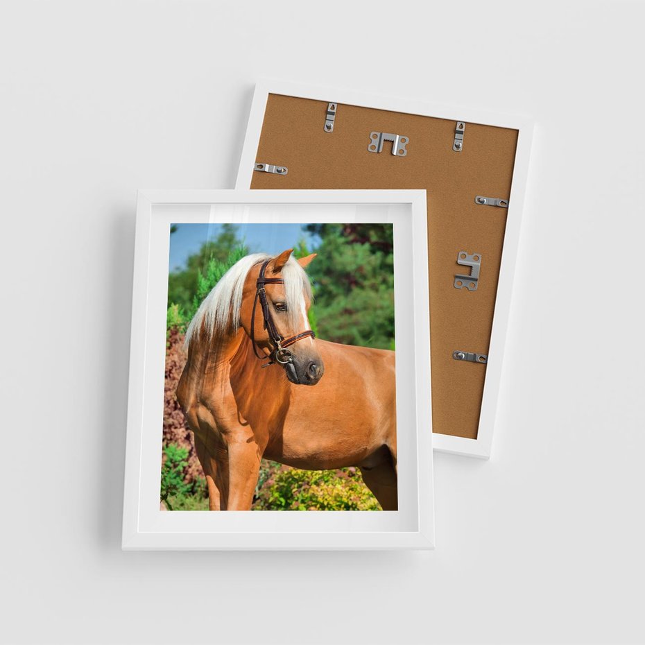 Plakat w ramie 40x50 - Elegancki wierzchowiec - koń, portret - rama biała