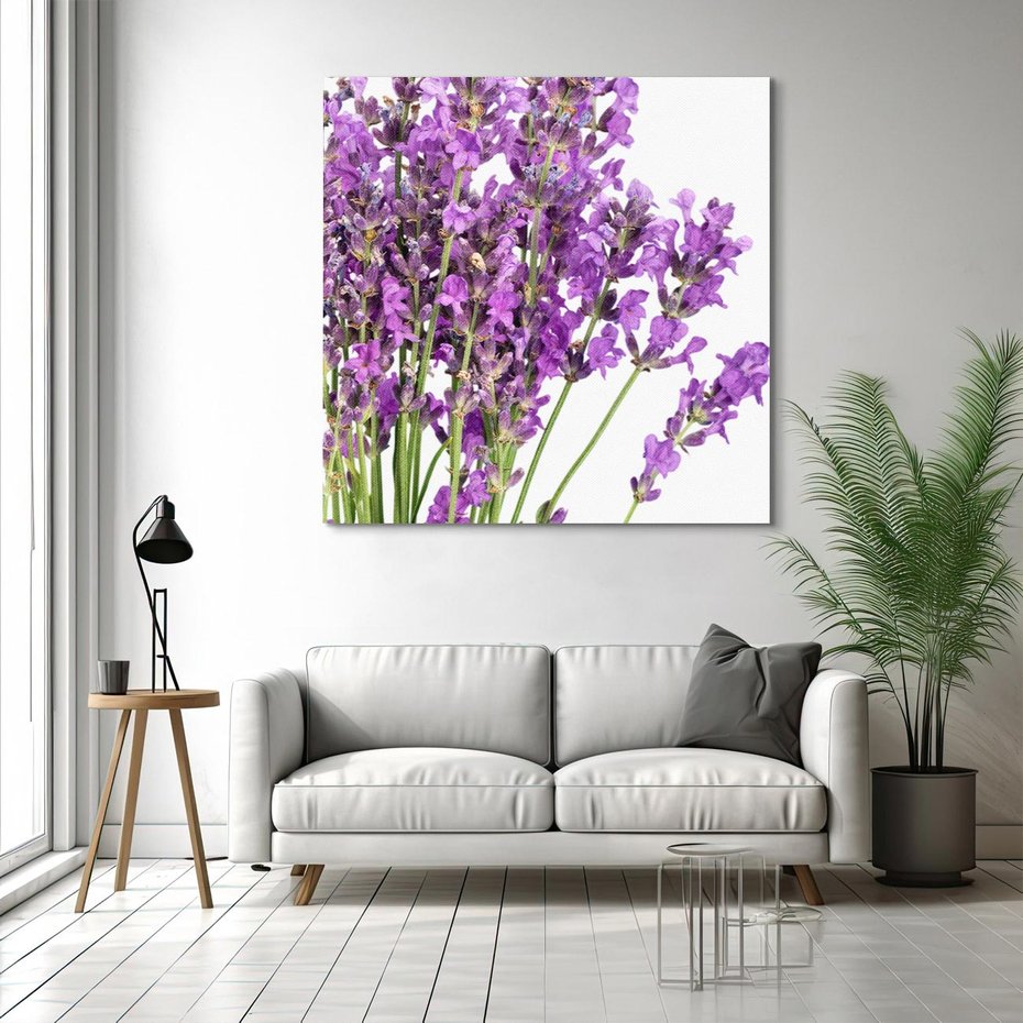 Obraz na płótnie 40x40 - Pola lawendy w pełnym rozkwicie - lawenda, kwiaty