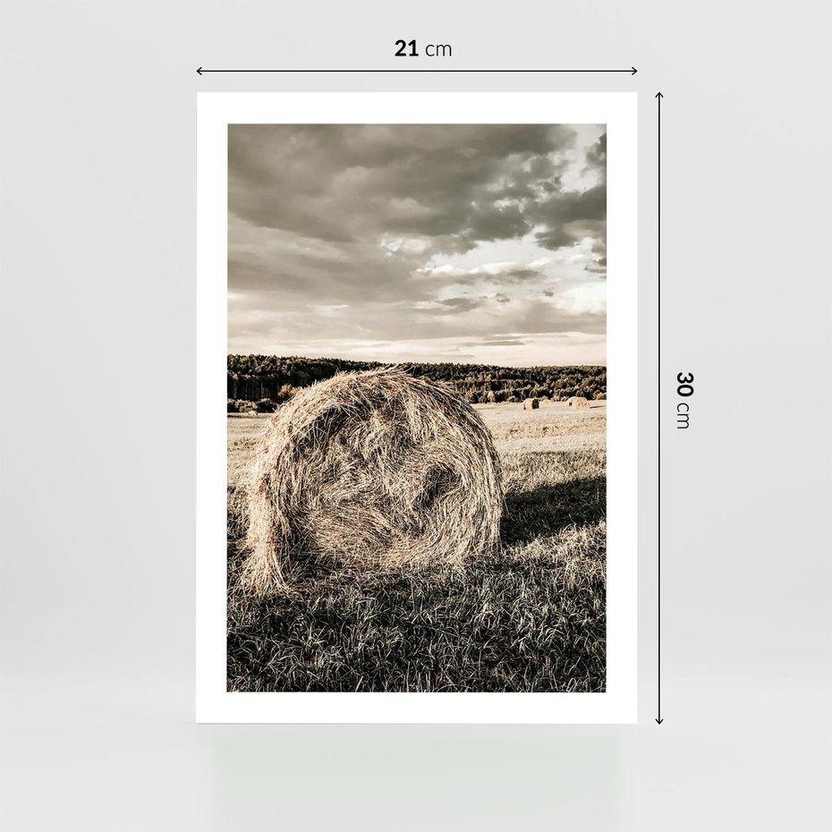 Plakat bez ramy 21x30 - Ciepło Natury - snopki siana, pole