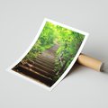 Plakat bez ramy 21x30 - Lasowa ścieżka pełna tajemnic - ścieżka, schody