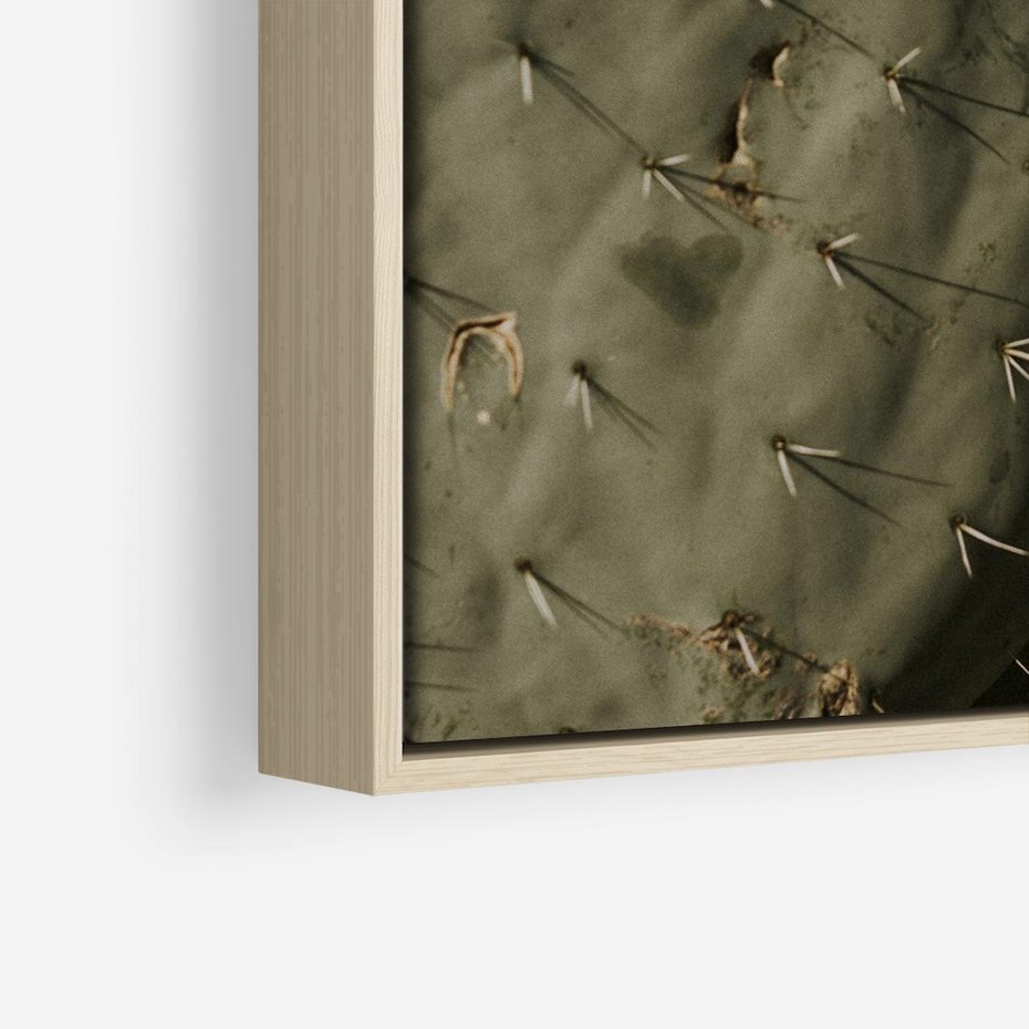 Obraz w ramie 80x80 - Urok Egzotyki - kaktusy, boho - rama drewno