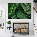 Obraz w ramie 70x50 - Zaklęta roślinna ekspresja - liście bananowca, gęsto ułożone - rama czarna