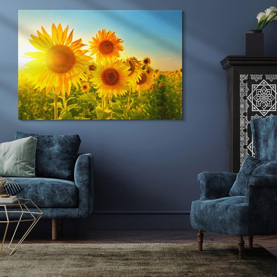 Obraz na płótnie 70x50 - kolorowe promienie - słoneczniki, kwiaty