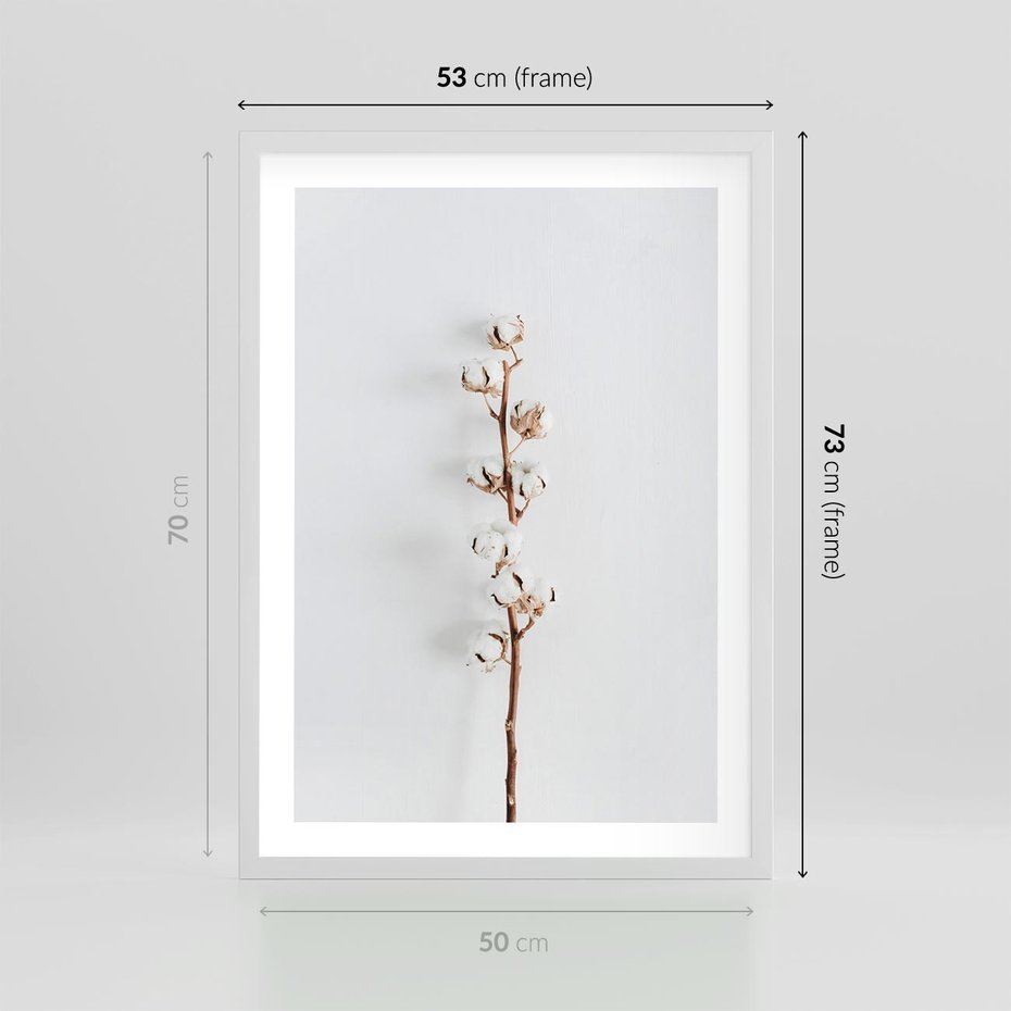 Plakat w ramie 50x70 - Minimalistyczna Gałązka Bawełny - bawełna, gałązka bawełny - rama biała