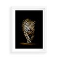 Plakat w ramie 50x70 - Elegancja lamparta - lampart, pantera - rama biała
