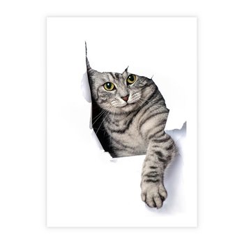 Plakat bez ramy 30x40 - Tajemniczy kot i jego świat - kot, dziura