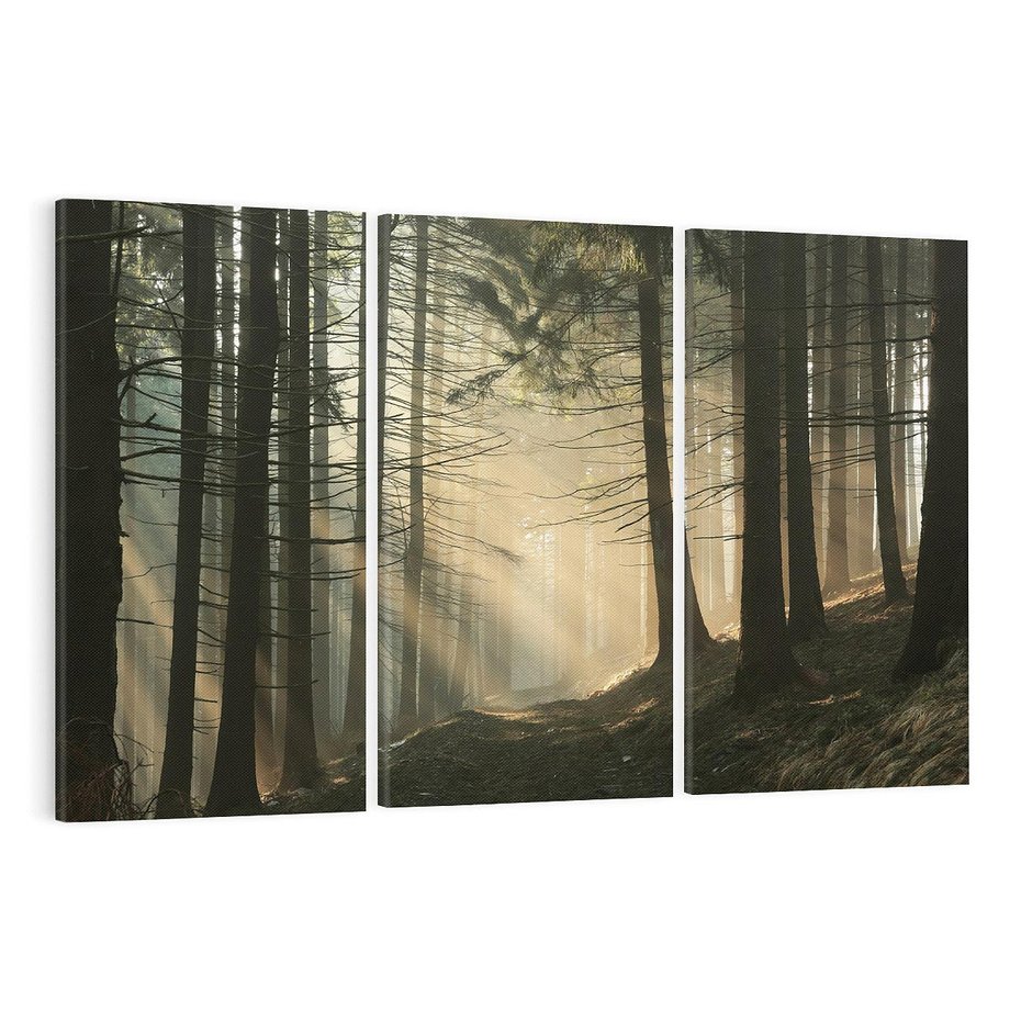 Obraz na płótnie 120x80 - Urok lasu: drzewa w pełnej okazałości - las, drzewa