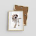 Plakat w ramie 30x40 - Szczeniak pełen radości - piesek, szczeniak - rama drewno