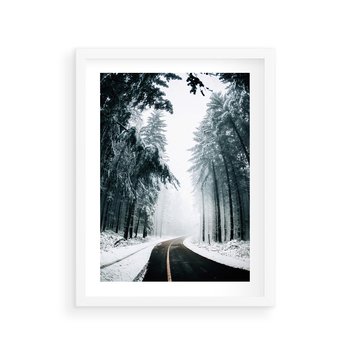 Plakat w ramie 40x50 - Droga przez Zimowy Las - drzewa, śnieg - rama biała