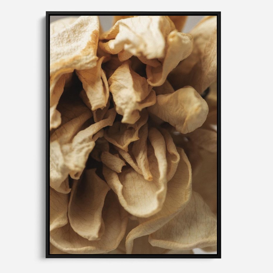 Obraz w ramie 50x70 - Zjawiskowe zasuszone kwiaty - zasuszone, kwiaty - rama czarna