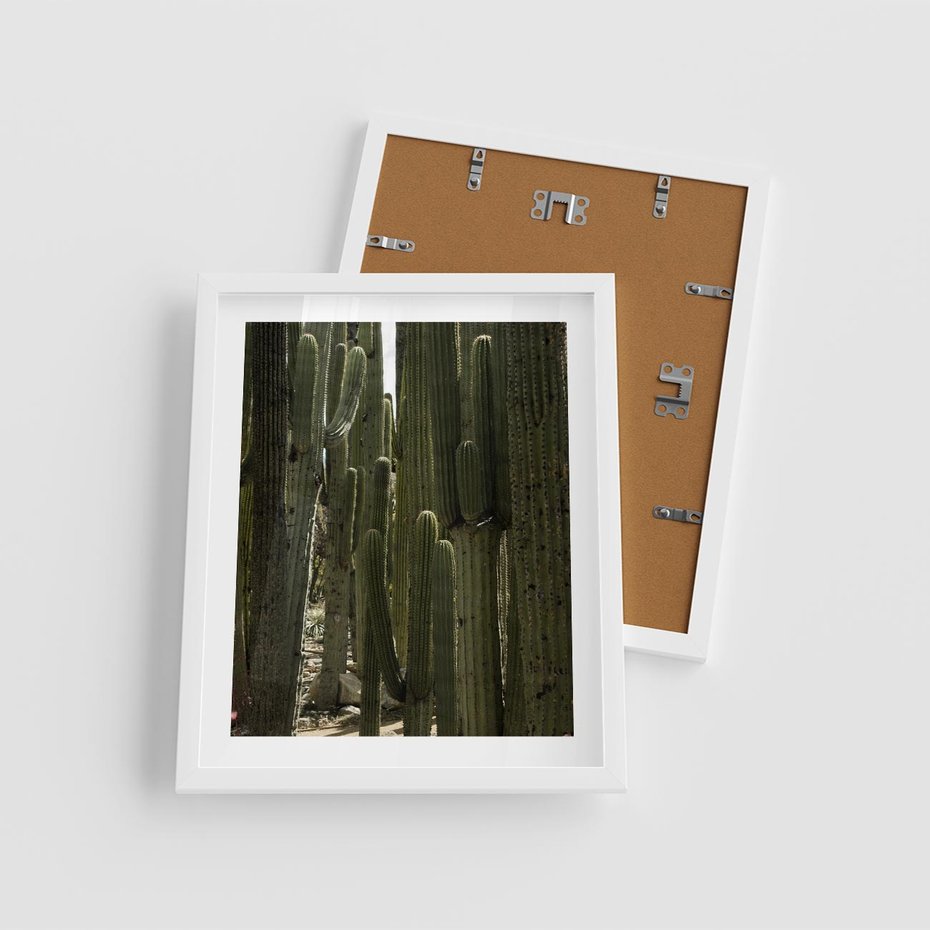 Plakat w ramie 40x50 - Wyjątkowy Klimat Boho - kaktusy, pustynia - rama biała