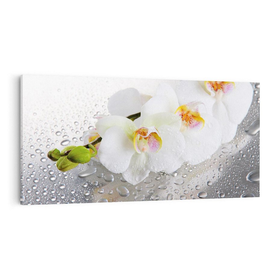 Obraz na płótnie 100x50 - Kwiatowy rój - kwiaty, kwiat