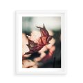 Plakat w ramie 40x50 - Liść w Jesieni - jesienny liść, czerwony - rama biała