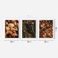 Zestaw obrazy w ramie 30x40 galeria - Jesień, liście, droga - rama biała
