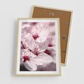Plakat w ramie 50x70 - Kwitnąca Wiśnia - kwiaty, kwitnąca - rama drewno