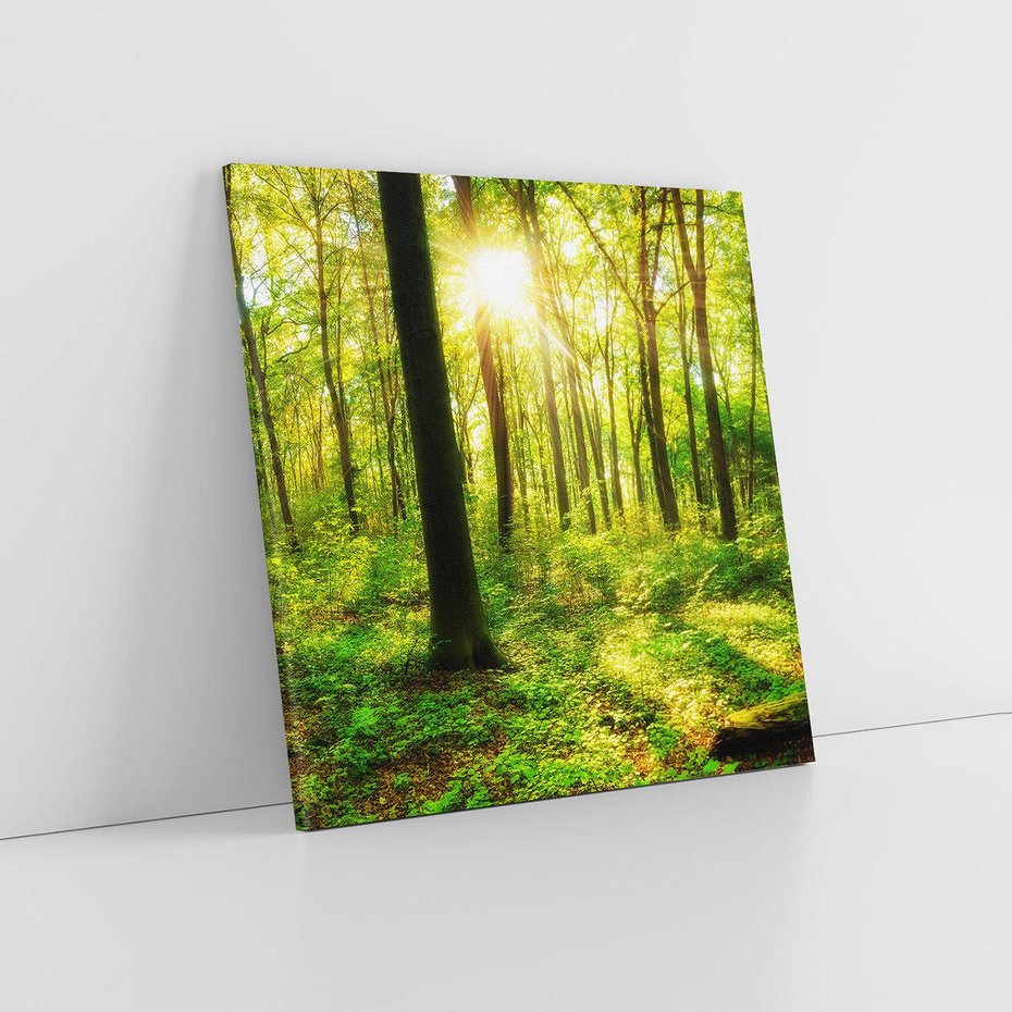 Obraz na płótnie 40x40 - Mistyfikujący las - las, drzewa