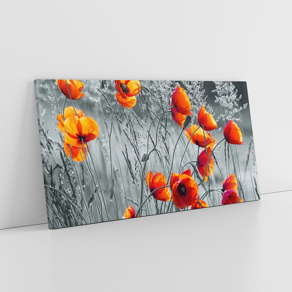 Obraz na płótnie 140x70 - Malownicza łąka - maki, mak