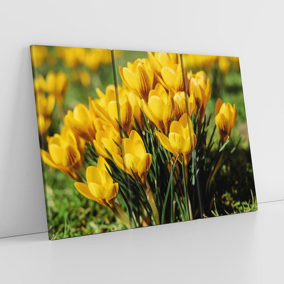 Obraz na płótnie 120x80 - Kwiatowe uniesienia natury - kwiat, kwiaty