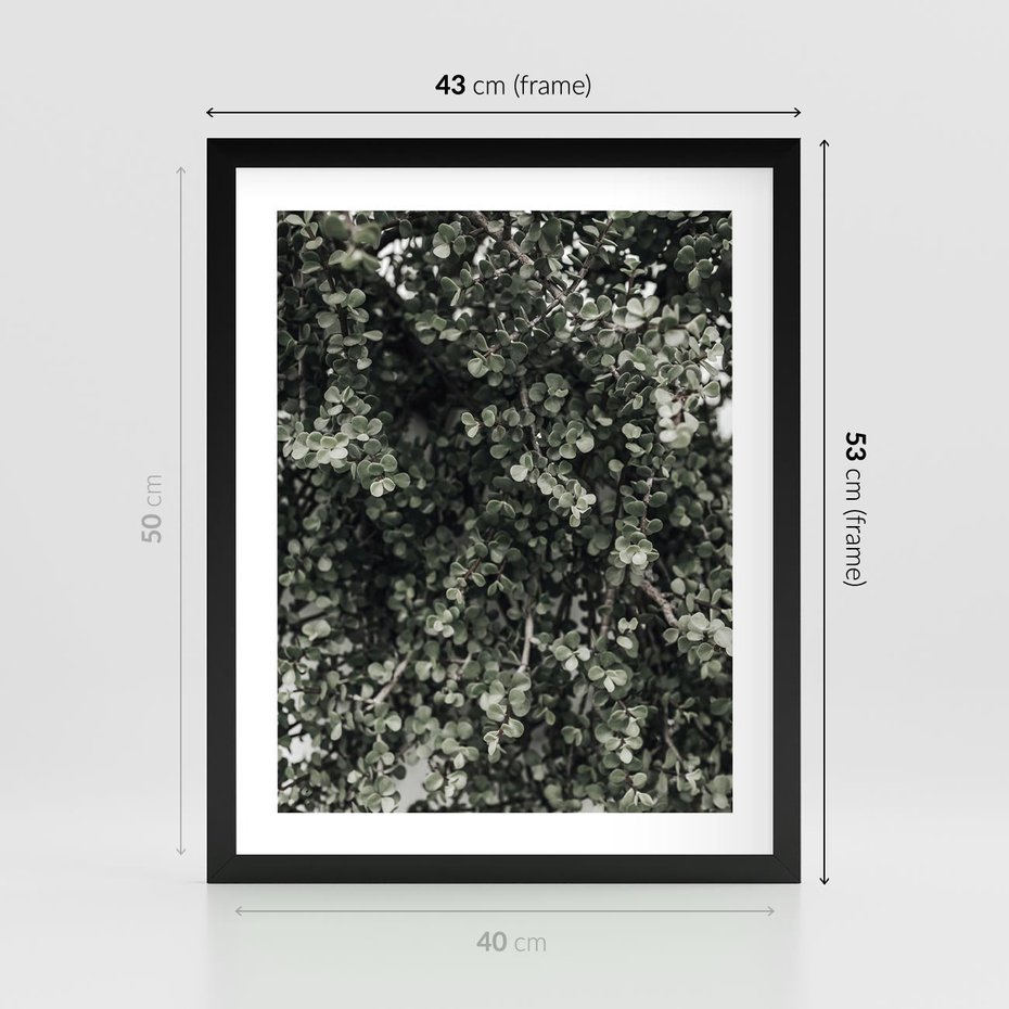 Plakat w ramie 40x50 - Jasnozielone Liście i Gałązki - liście, gałązki - rama czarna