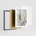 Plakat w ramie 40x50 - Białe Kwiaty Delikatności - białe, kwiaty - rama czarna