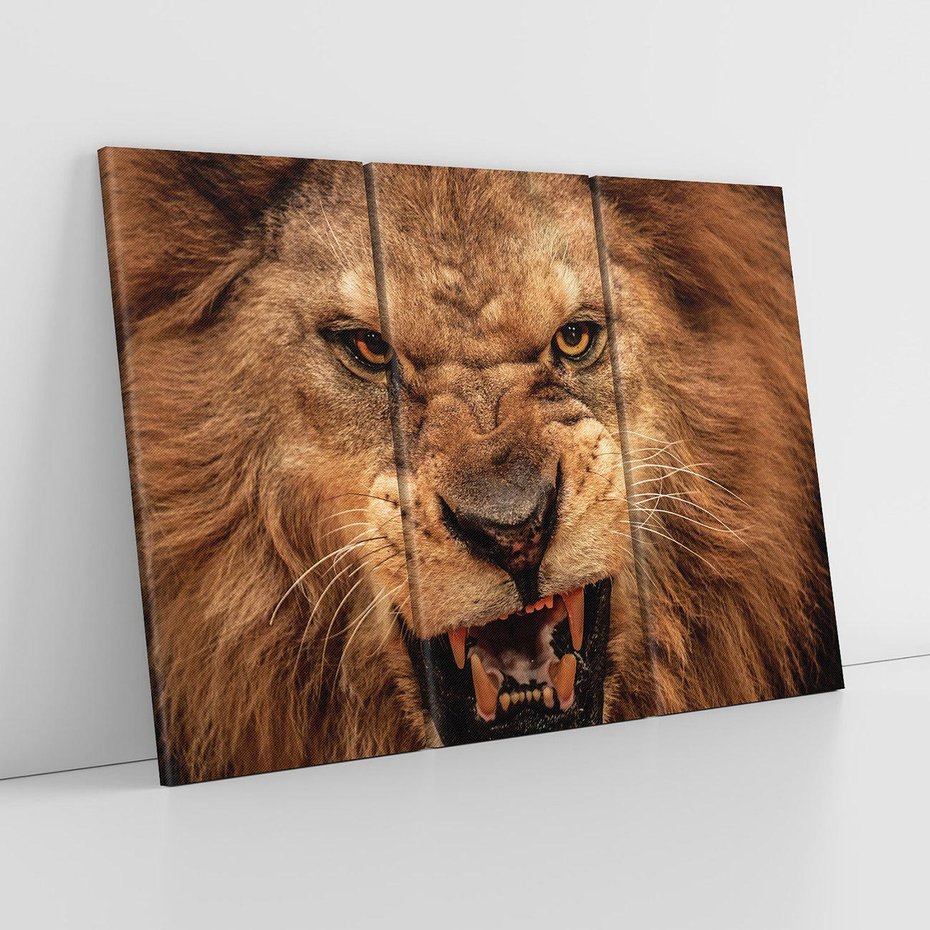 Obraz na płótnie 120x80 - Władca Sawanny - lew, sawanna