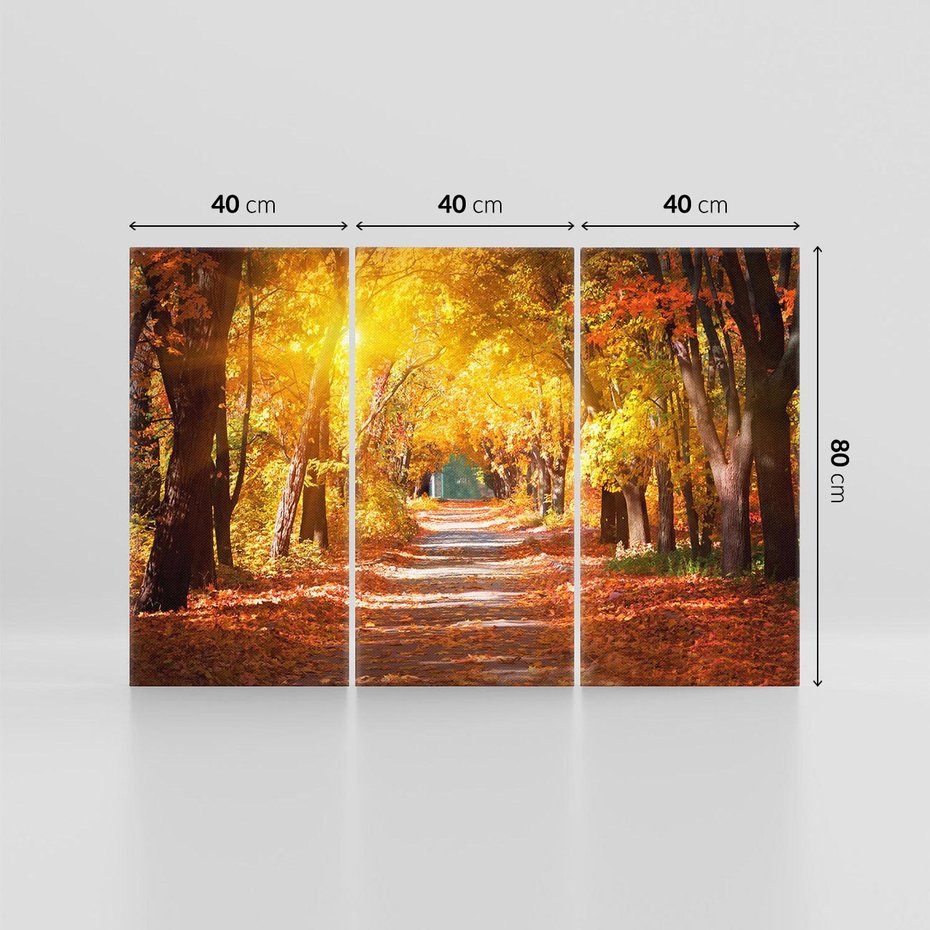 Obraz na płótnie 120x80 - Jesienna Droga: Przechadzka wśród Drzew - jesień, droga
