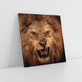 Obraz na płótnie 40x40 - Władca Sawanny - lew, sawanna
