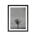 Plakat w ramie 30x40 - Samotne Drzewo - samotne drzewo w polu, czarno białe zdjęcie - rama czarna