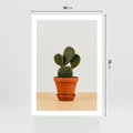 Plakat bez ramy 50x70 - Kwiatowy taniec kaktusa - kaktus, kwiat