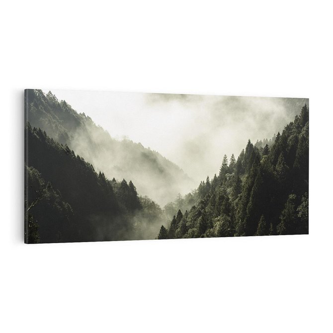 Obraz na płótnie 100x50 - Mgliste góry w lesie - góry, las