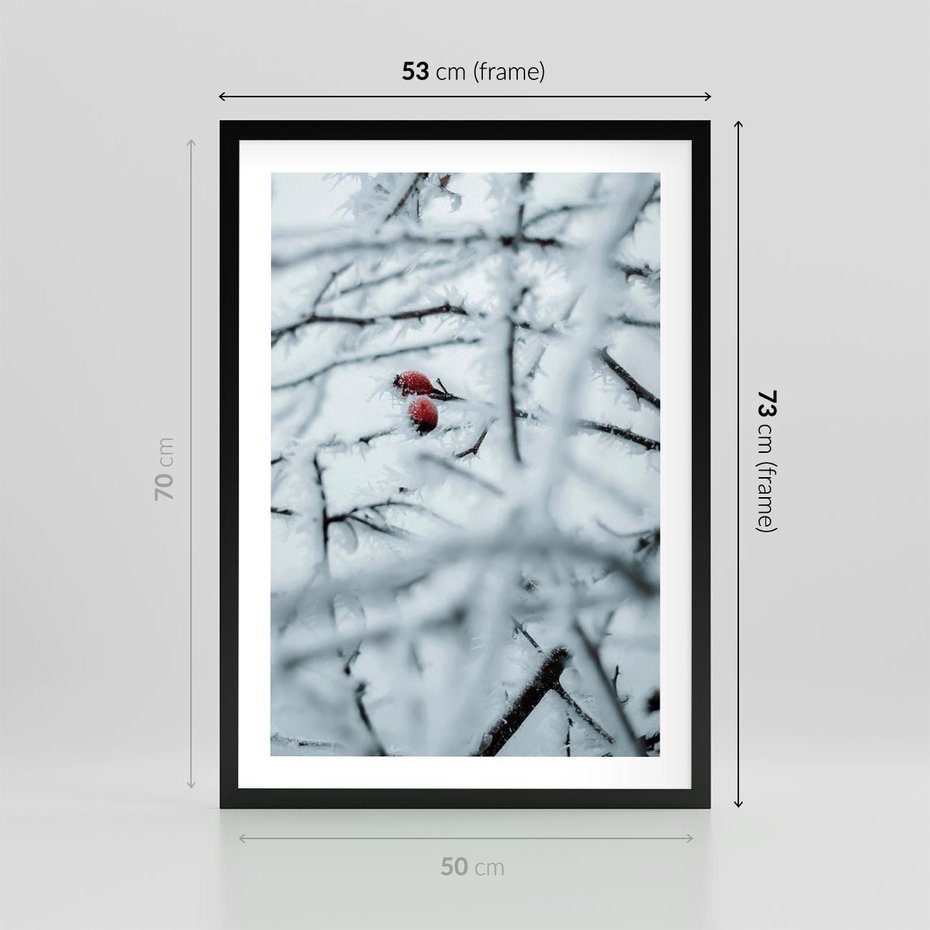 Plakat w ramie 50x70 - Zima w Detalu: Gałęzie ze Szronem i Śniegiem - śnieg, zima - rama czarna