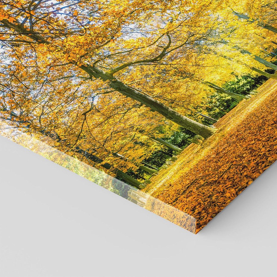 Obraz na płótnie 120x80 - Jesień w Lesie: Urok Lasu - jesień, las