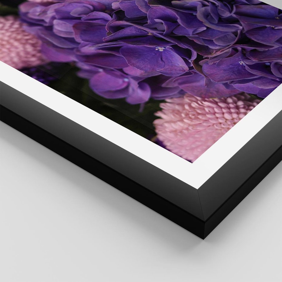 Plakat w ramie 30x40 - Fioletowa hortensja - kwiaty, hortensja - rama czarna
