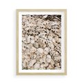 Plakat w ramie 50x70 - Symfonia Natury - kompozycja z białych muszli - rama drewno