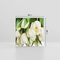 Obraz na płótnie 40x40 - Białe tulipany w pełnym rozkwicie - białe, tulipany
