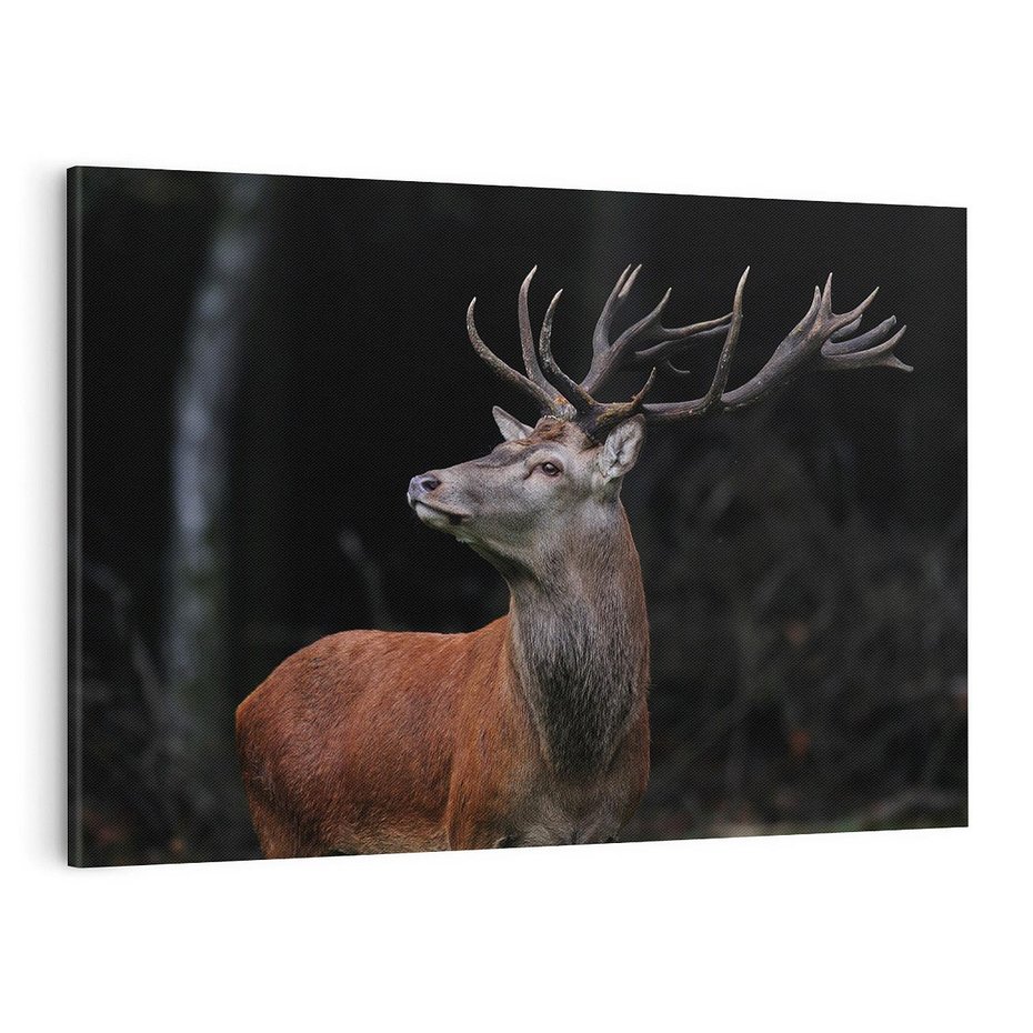 Obraz na płótnie 100x70 - Spotkanie z naturą - jeleń, las