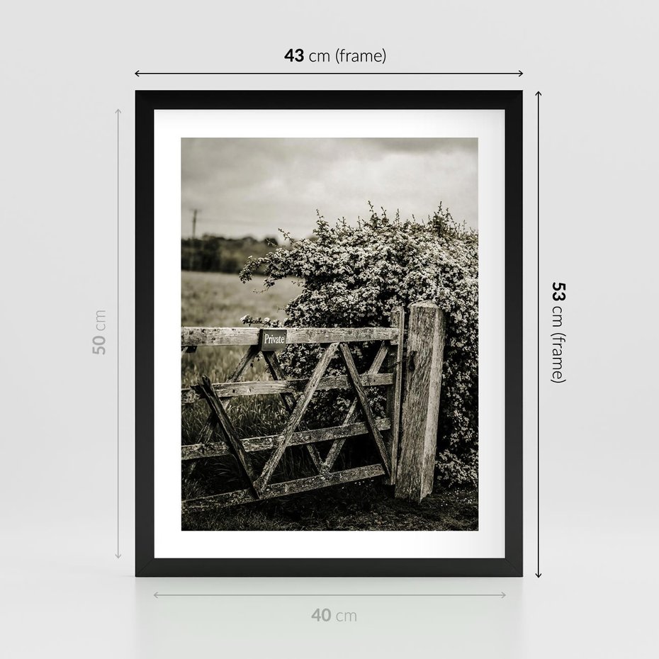 Plakat w ramie 40x50 - Wiejski Urok: Stary Płot i Kwitnący Krzew - rustykalne zdjęcie, stary płot - rama czarna