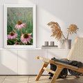Plakat bez ramy 30x40 - Natura w Pełnym Blasku - kwiaty na łące, różowe kwiaty polne