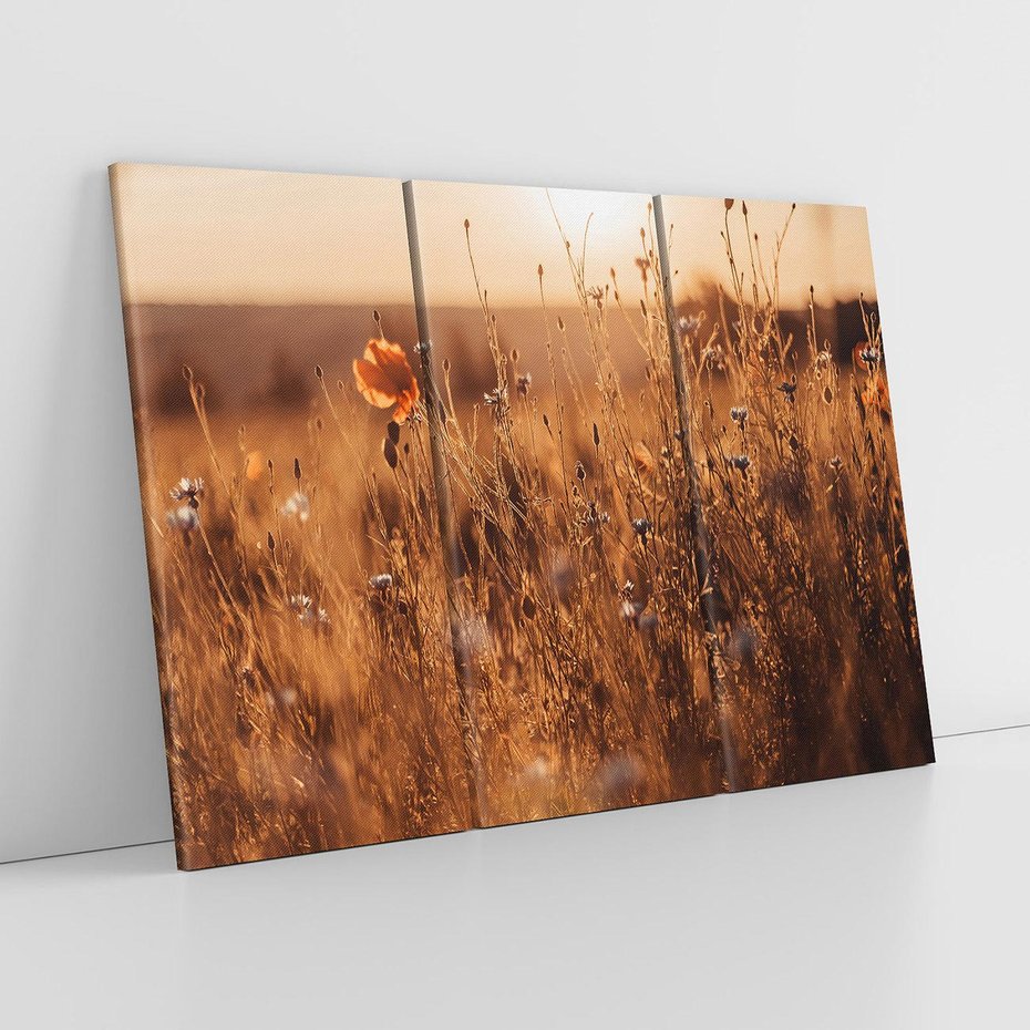 Obraz na płótnie 120x80 - Zachwyt zachodem słońca na łące - zachód, słońca