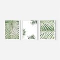 Zestaw obrazy w ramie 40x50 galeria - Liście, palma, tropikalne - rama biała