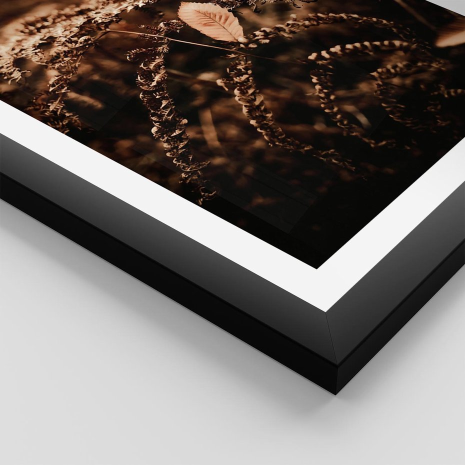 Plakat w ramie 40x50 - Gałęzie i Liść w Brązowej Tonacji - suche gałęzie, liść - rama czarna