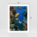 Plakat bez ramy 30x40 - Podwodne królestwo rafy koralowej - rafa, koralowa