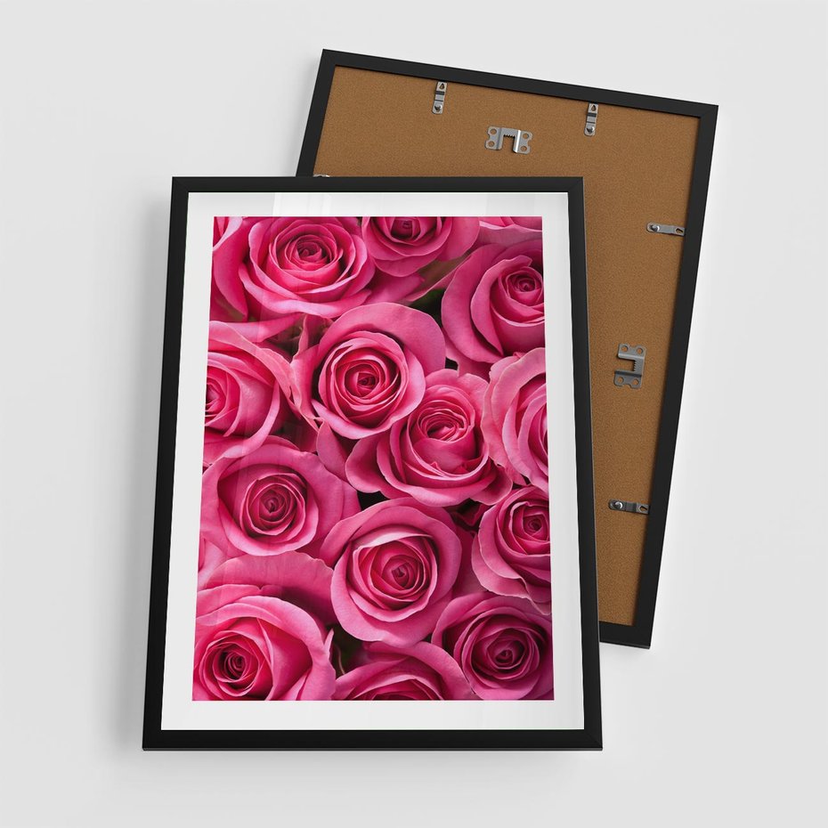 Plakat w ramie 50x70 - Romantyczne róże w pełnym rozkwicie - róże, kwiaty - rama czarna