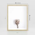 Plakat w ramie 40x50 - Suszona Roślina na Białym Tle - minimalizm, suszona roślina - rama drewno
