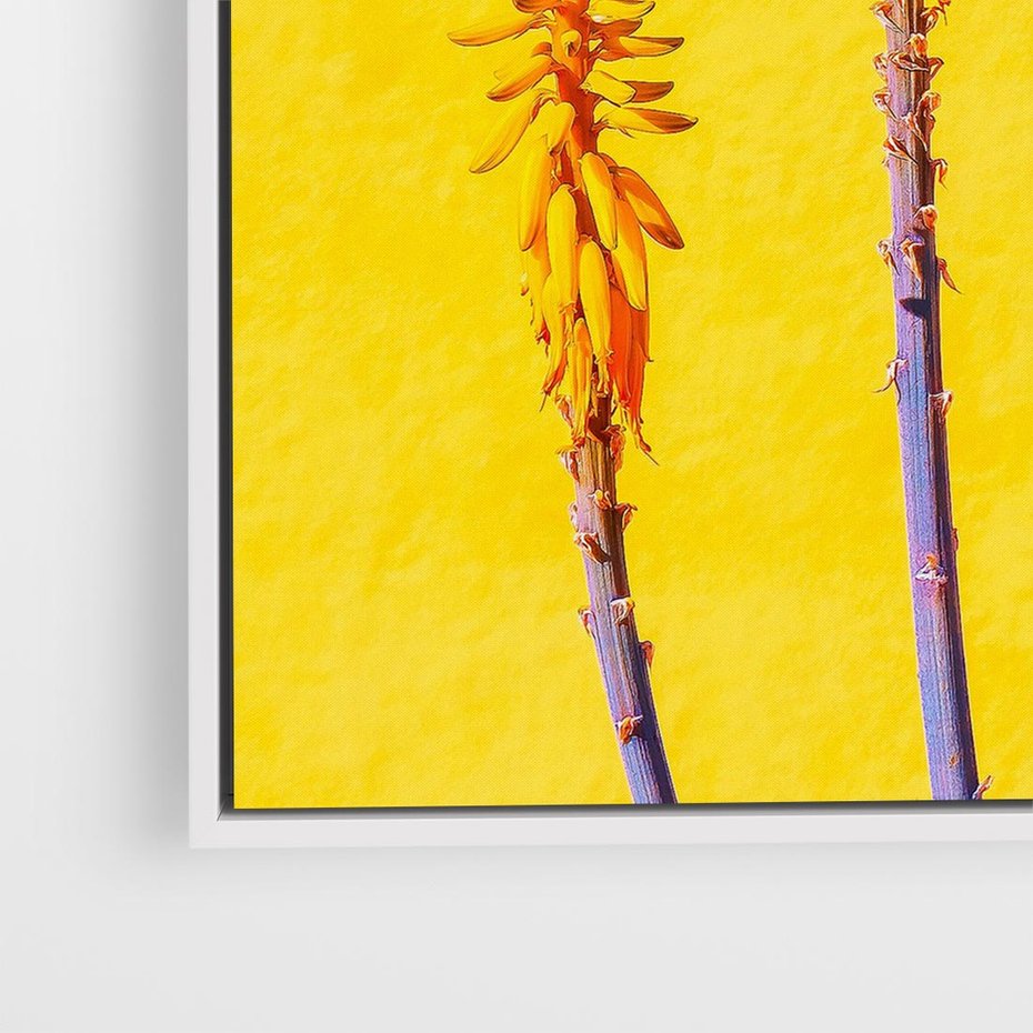 Obraz w ramie 80x80 - Radość Natury - kolor, kwiaty - rama biała