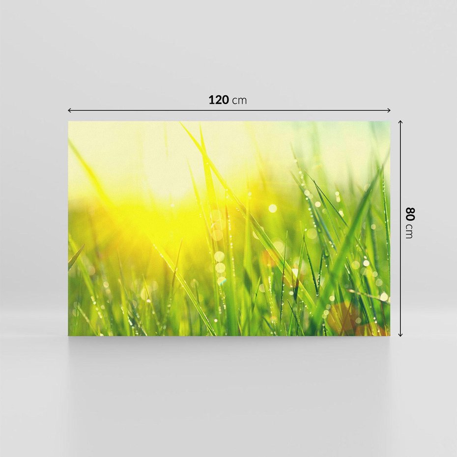 Obraz na płótnie 120x80 - Piękno Poranka - łąka, trawa