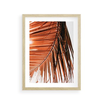 Plakat w ramie 50x70 - Słońce na Palmie - palma, promienie słońca - rama drewno