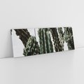 Obraz na płótnie 150x50 - Boho oaza wśród kaktusów - kaktusy, pustynia